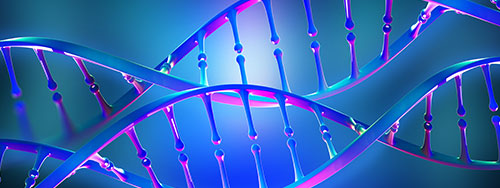 Genome & Protein Engineering